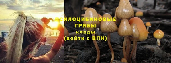 кристаллы Богданович