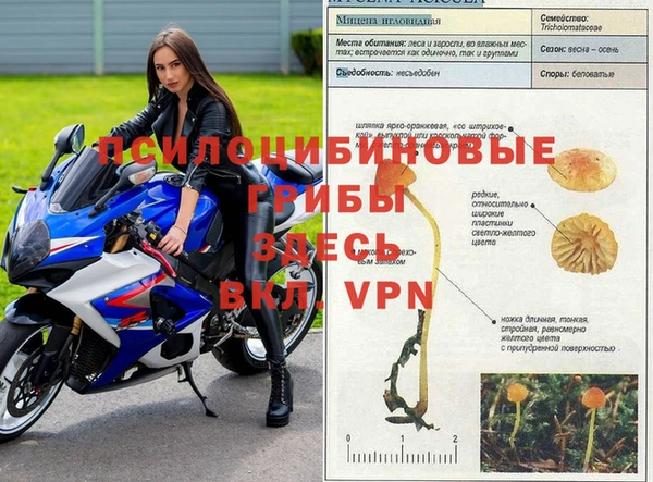 кристаллы Богданович