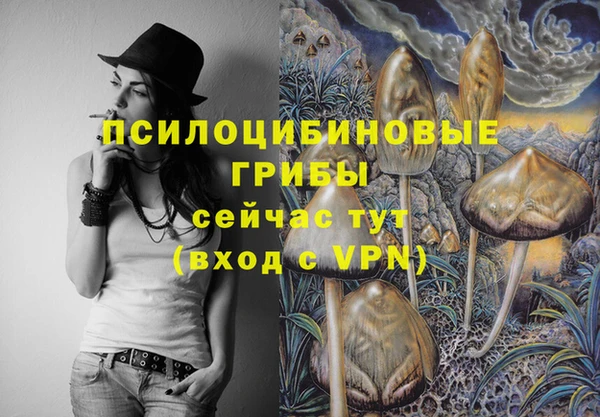Альфа ПВП Богородицк