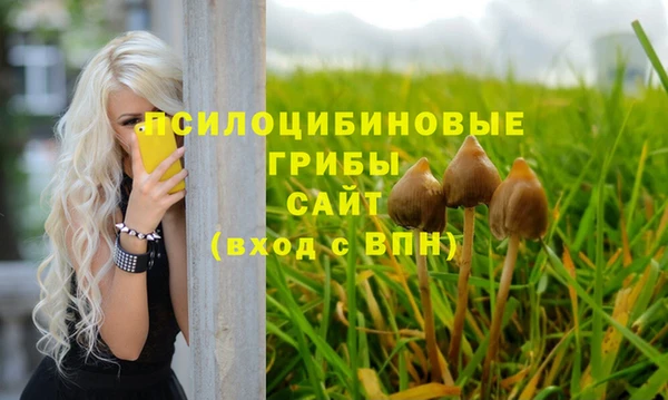 а пвп мука Богородск