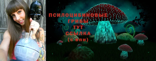 а пвп мука Богородск